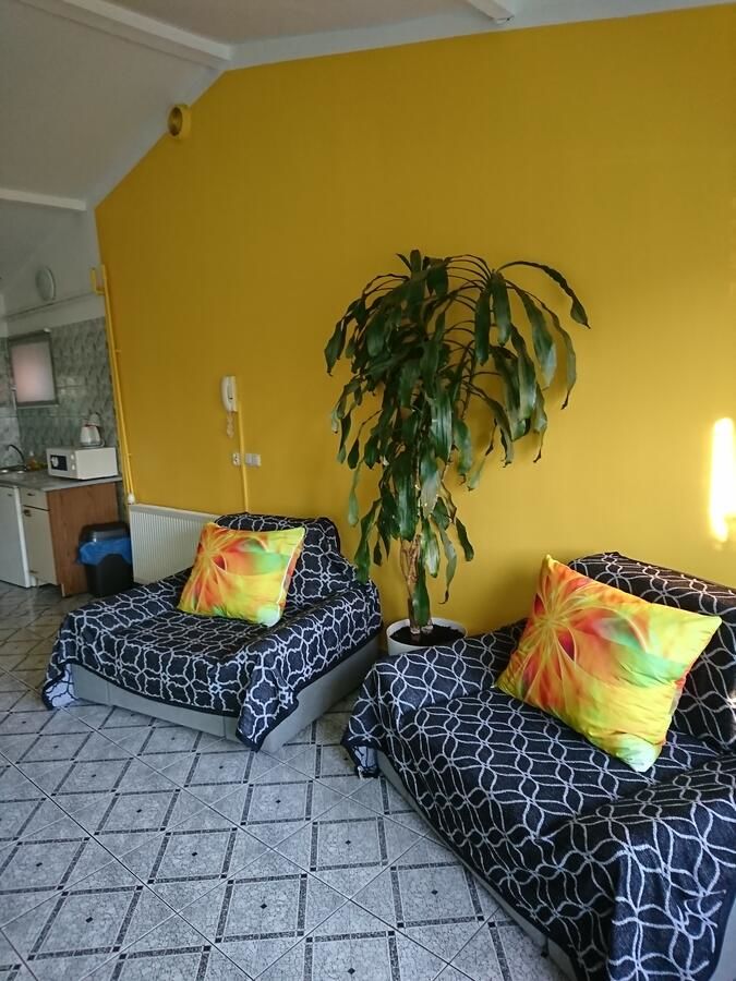 Апартаменты Apartament przy Białym Koniu Кошалин